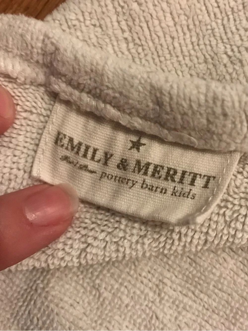 Pottery Barn Kids X Emily Meritt Lion Bath Beach Hooded Towel